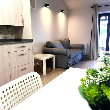 Apartment Centro De